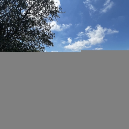  CABINET IMMOBILIER SOPHIE GUILLAMAT : Terrain | MARSEILLAN (34340) | 0 m2 | 15 000 € 