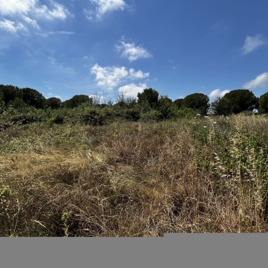  CABINET IMMOBILIER SOPHIE GUILLAMAT : Terrain | MARSEILLAN (34340) | 0 m2 | 15 000 € 