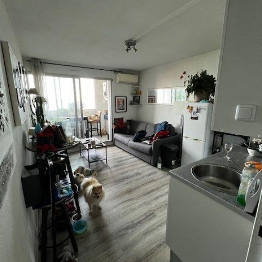  CABINET IMMOBILIER SOPHIE GUILLAMAT : Appartement | SETE (34200) | 36 m2 | 147 000 € 