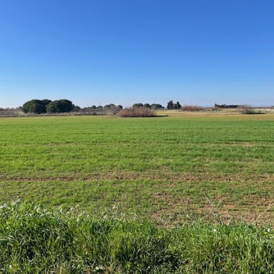  CABINET IMMOBILIER SOPHIE GUILLAMAT : Ground | MARSEILLAN (34340) | 0 m2 | 25 000 € 