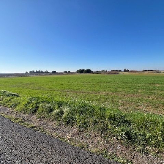  CABINET IMMOBILIER SOPHIE GUILLAMAT : Ground | MARSEILLAN (34340) | 0 m2 | 25 000 € 