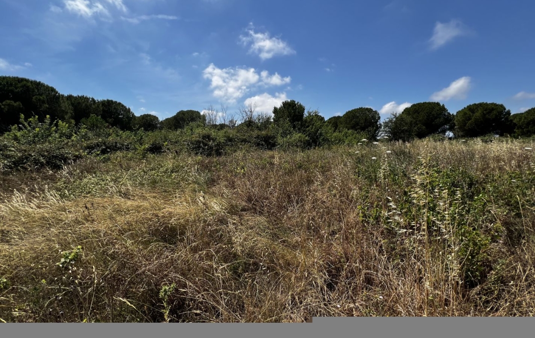 CABINET IMMOBILIER SOPHIE GUILLAMAT : Terrain | MARSEILLAN (34340) | 0 m2 | 15 000 € 