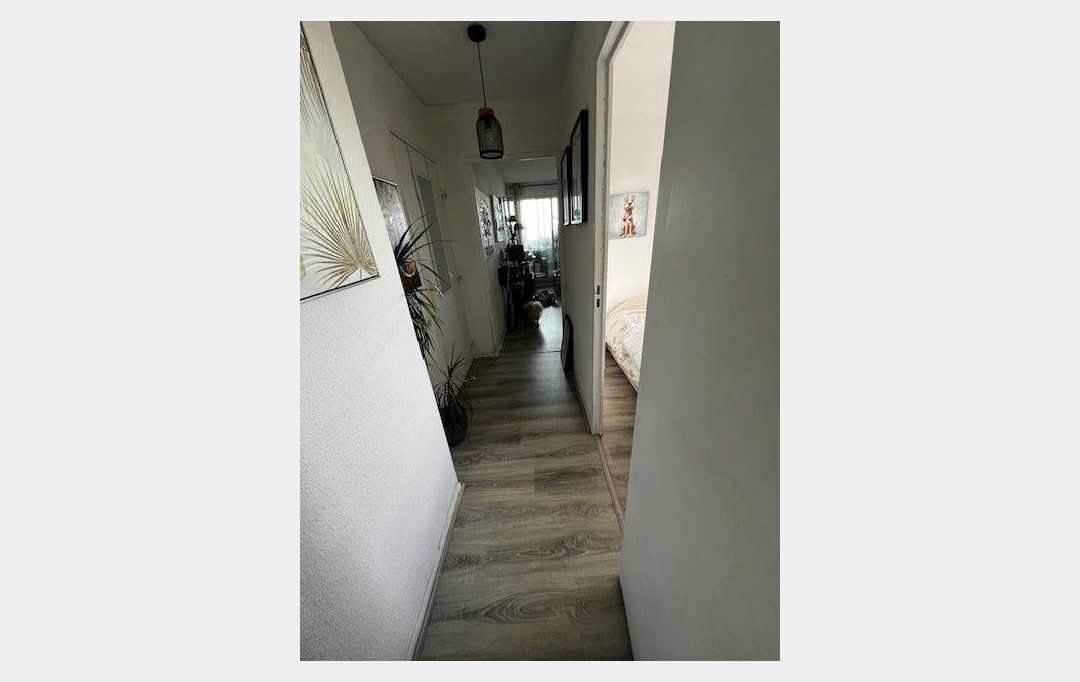 CABINET IMMOBILIER SOPHIE GUILLAMAT : Appartement | SETE (34200) | 36 m2 | 147 000 € 