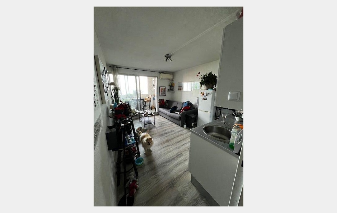 CABINET IMMOBILIER SOPHIE GUILLAMAT : Appartement | SETE (34200) | 36 m2 | 147 000 € 