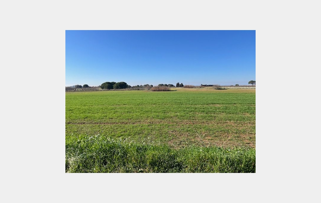CABINET IMMOBILIER SOPHIE GUILLAMAT : Ground | MARSEILLAN (34340) | 0 m2 | 25 000 € 