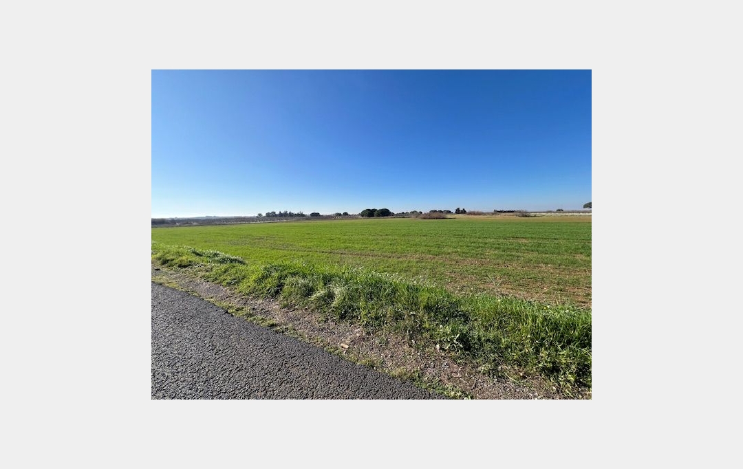 CABINET IMMOBILIER SOPHIE GUILLAMAT : Ground | MARSEILLAN (34340) | 0 m2 | 25 000 € 