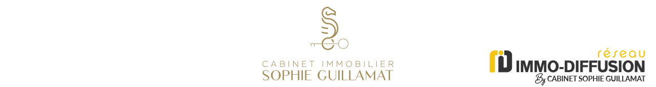 CABINET IMMOBILIER SOPHIE GUILLAMAT